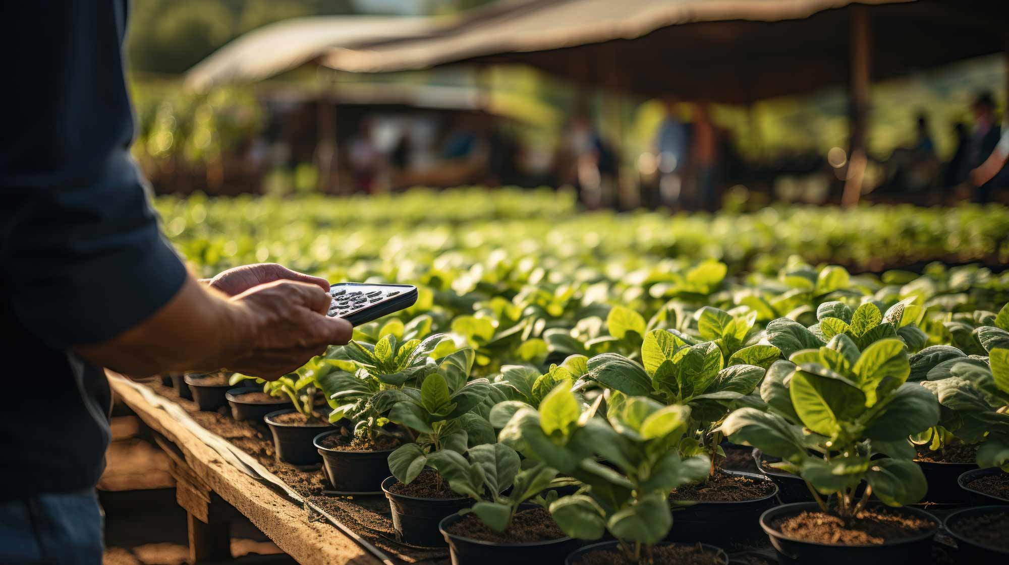 Vertikal integrierte Lieferkette