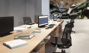 Server and network services for businesses