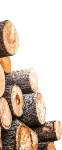 Holz als nachwachsender Werkstoff