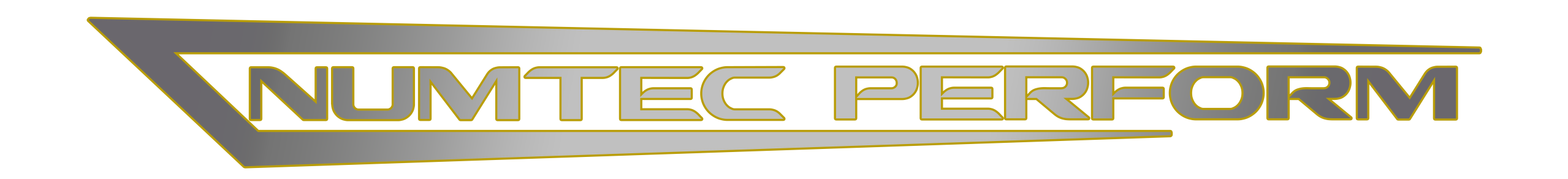Logo Numtec Perform