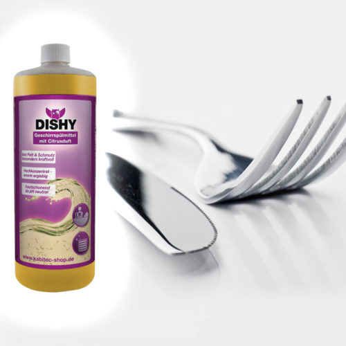 Anwendung DISHY
