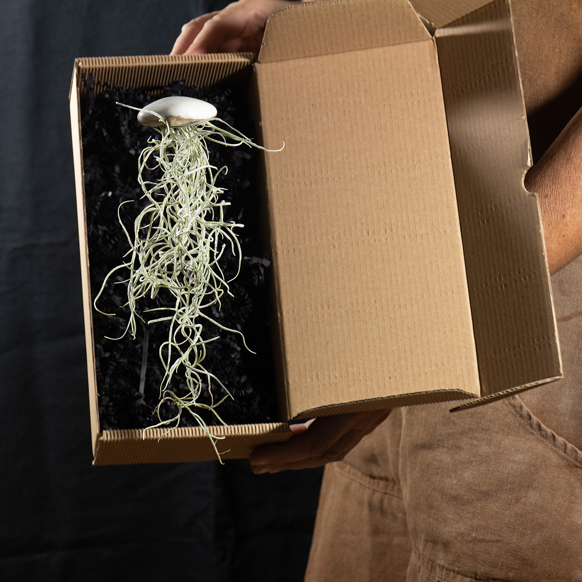 Medusa – Keramikkopf mit spanischem Moos