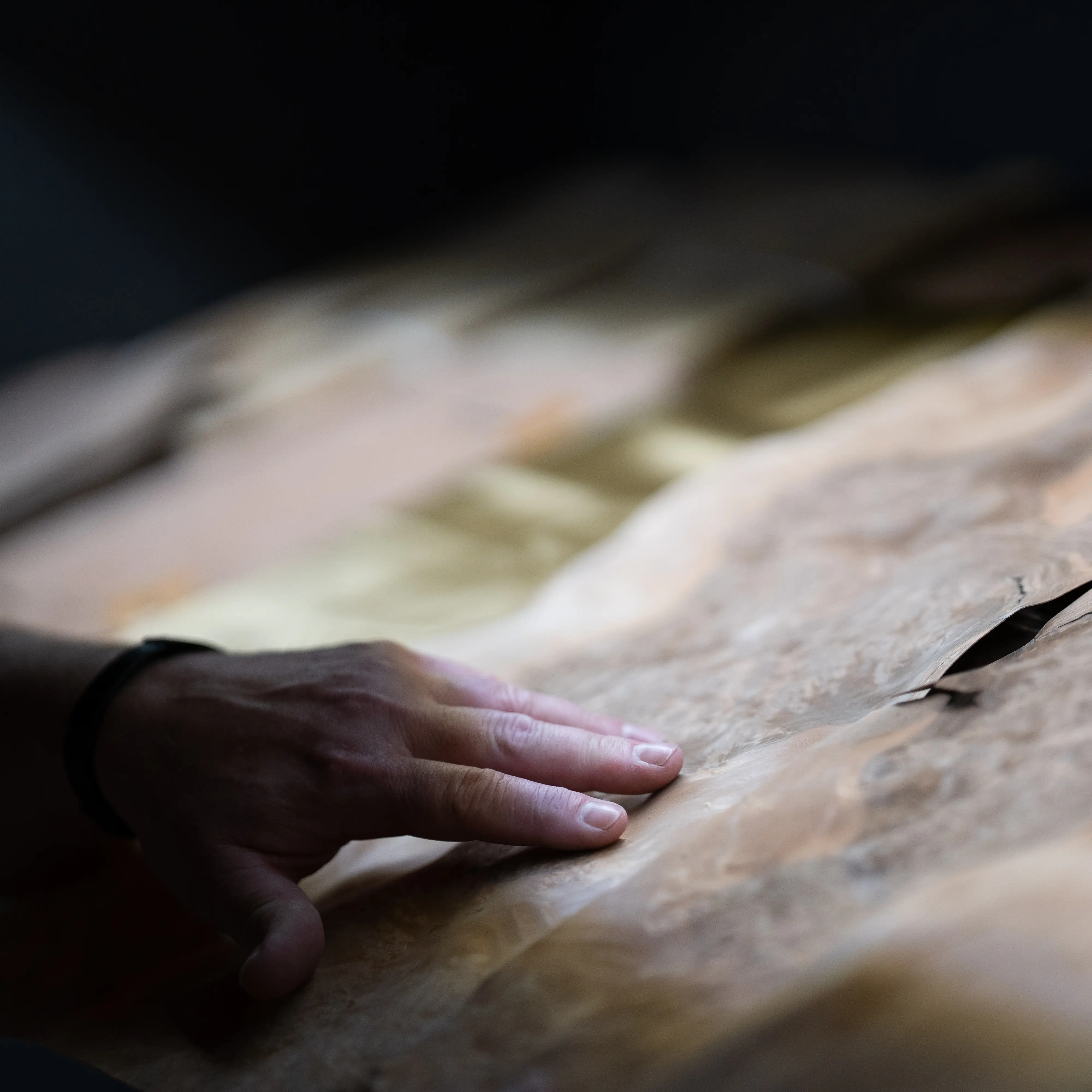 Handwerk am wertvollen Furnier