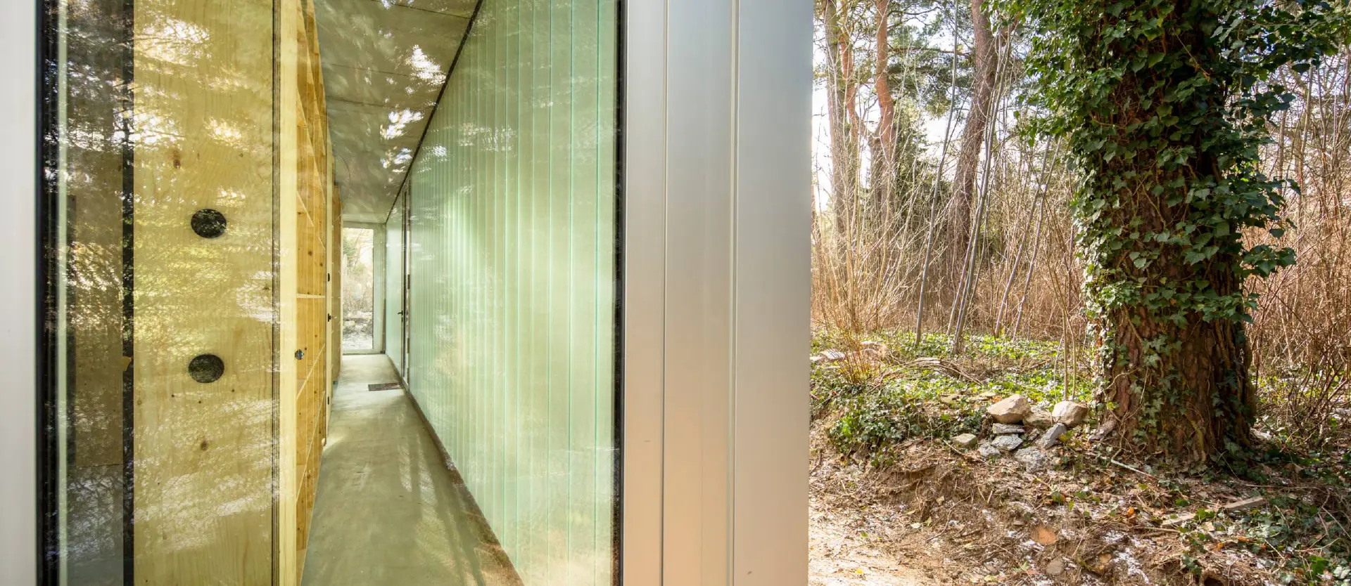Innenausbau mit Blick zur Natur