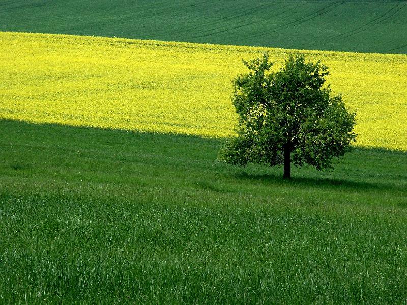 Naturbilder