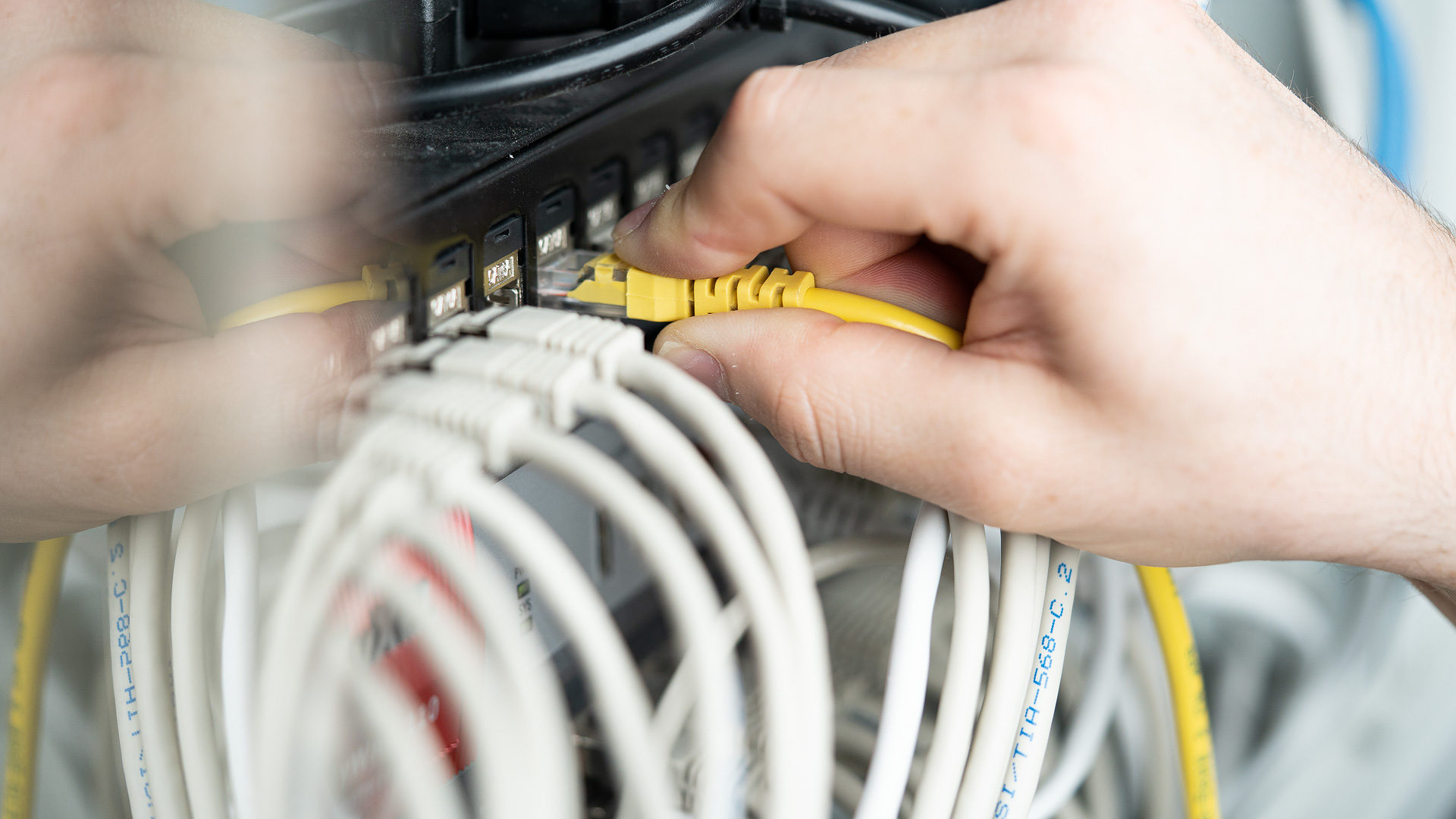 RJ45 data line: network technology for corporate installations