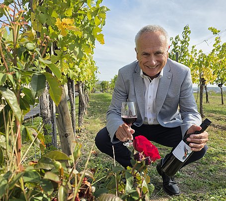 Zweigelt Alkoholfrei