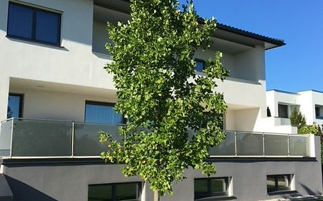Einfamilienhaus in Buchkirchen