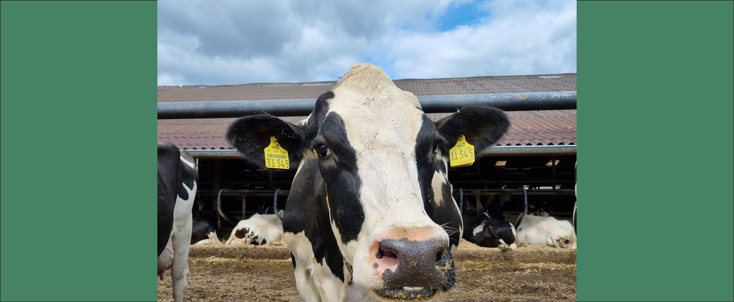 Animal welfare in agriculture