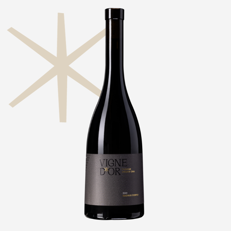 Yvorne Grand Cru Vigne d'Or MAGNUS CORPUS Fût de Chêne Chablais AOC