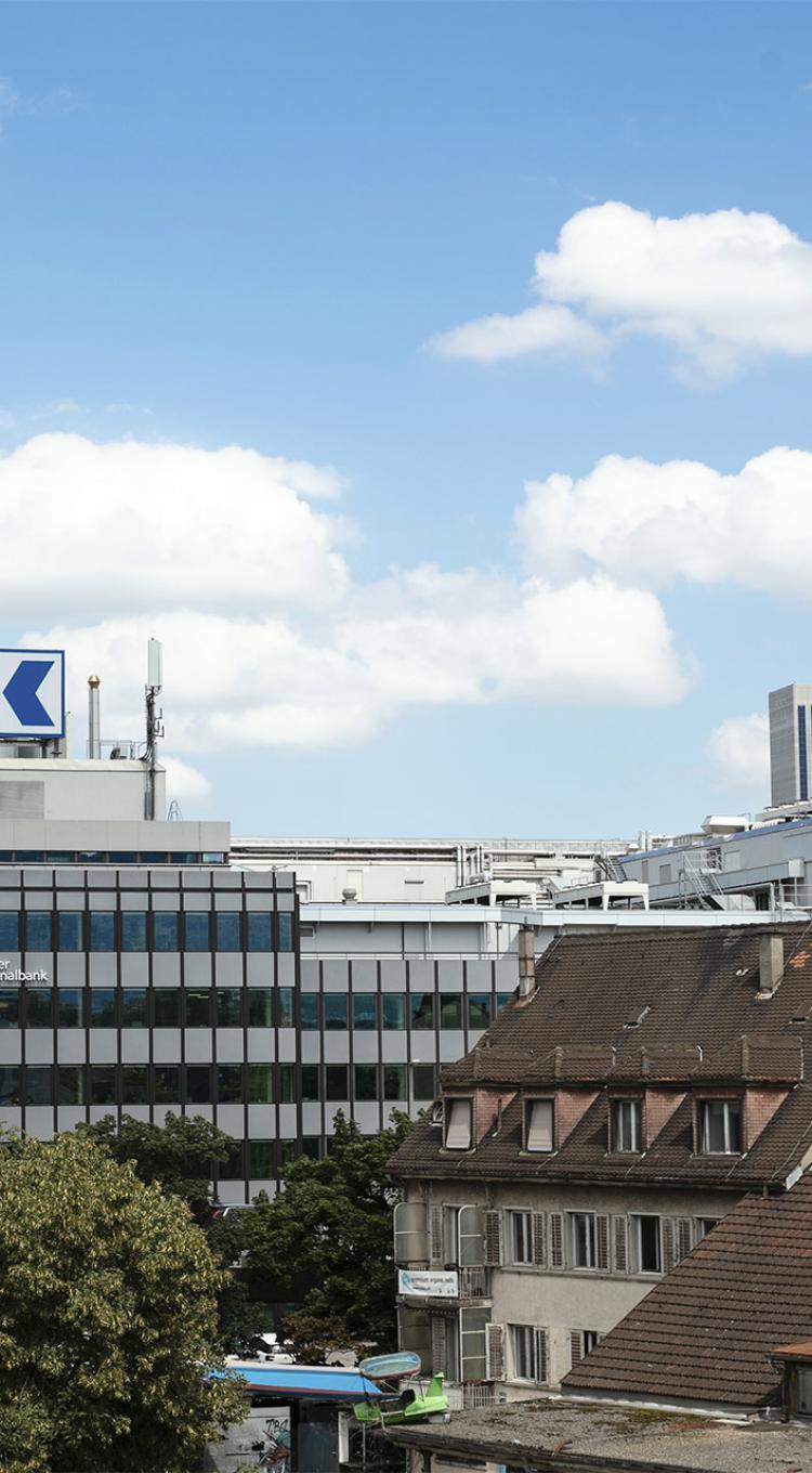 ZKB Hard Ausbau RZ-Flächen
