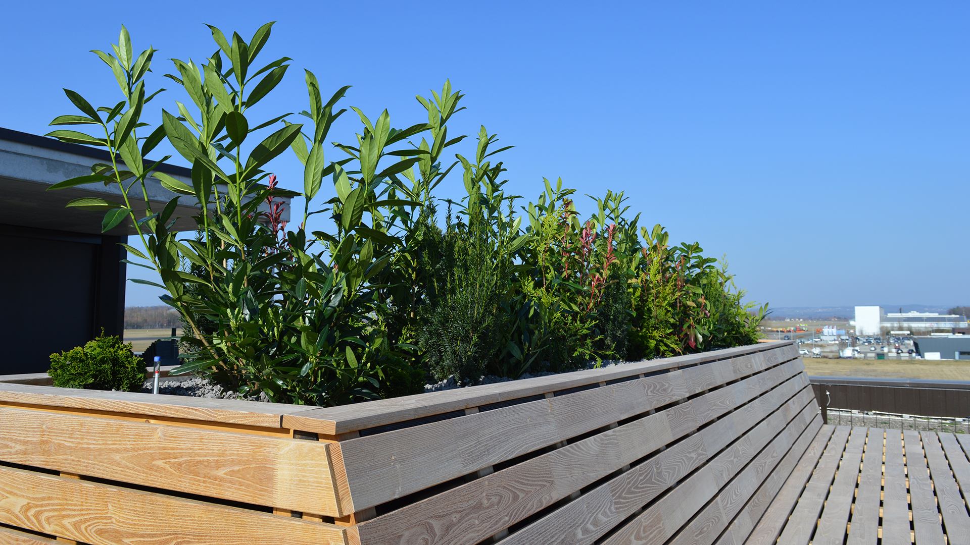 Terrassenbegrünung mit Einsatzgefäßen