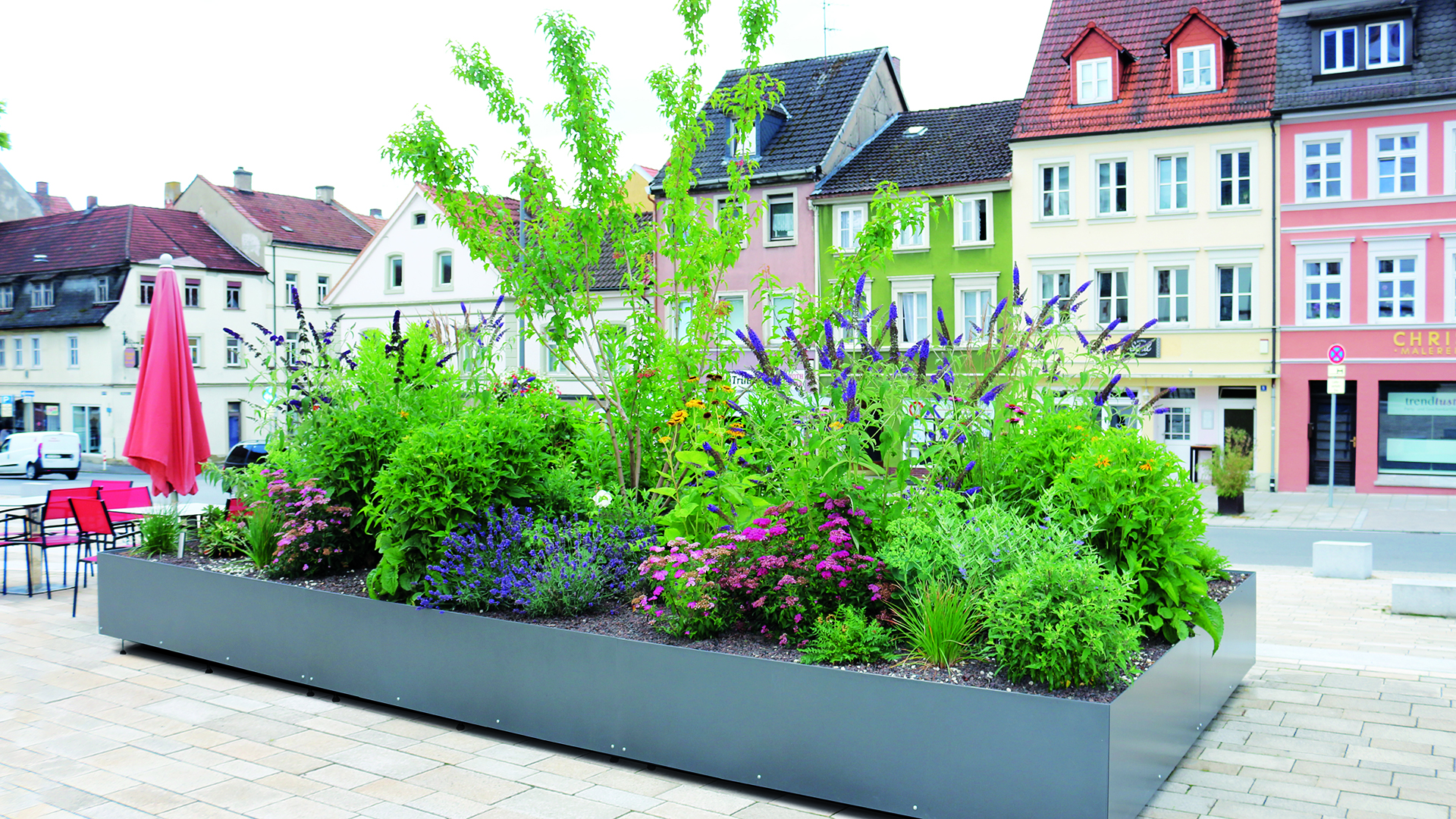 Stadtbegrünung mit Hydro Profi Line® Begrünungssystem