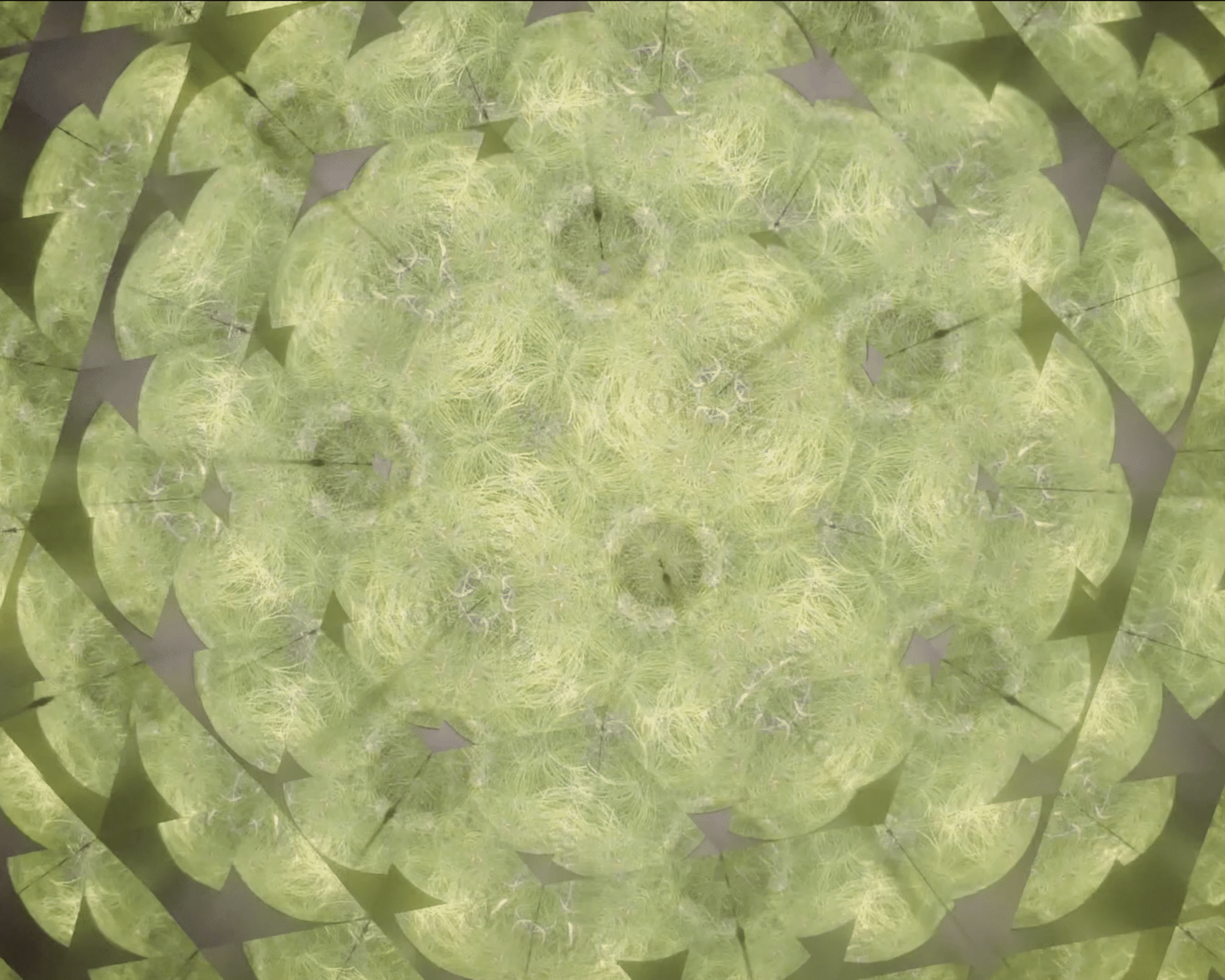 Utopiereise (2024)