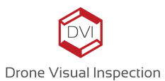 DVI Logo