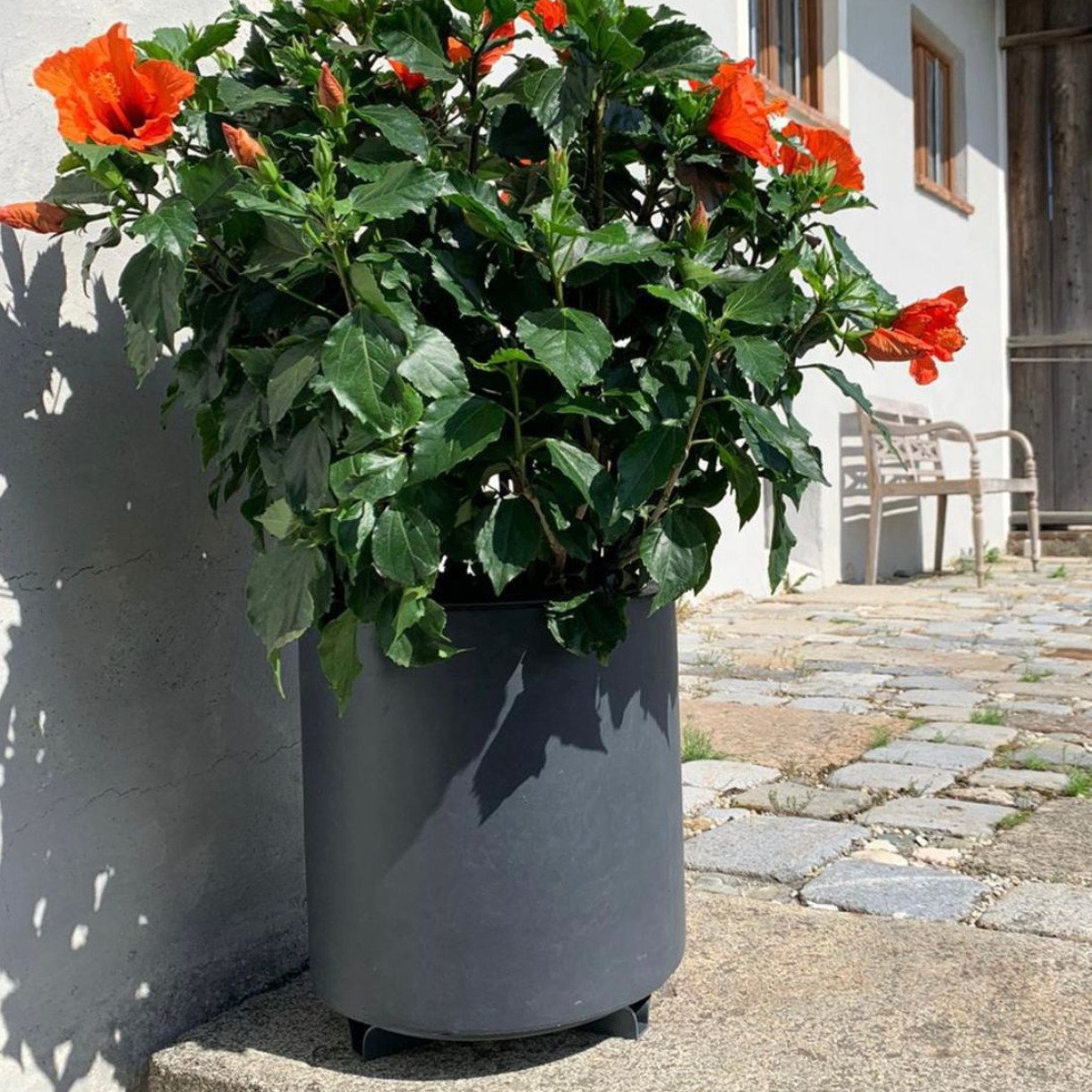 Blumentopf-Untersetzer anthrazit