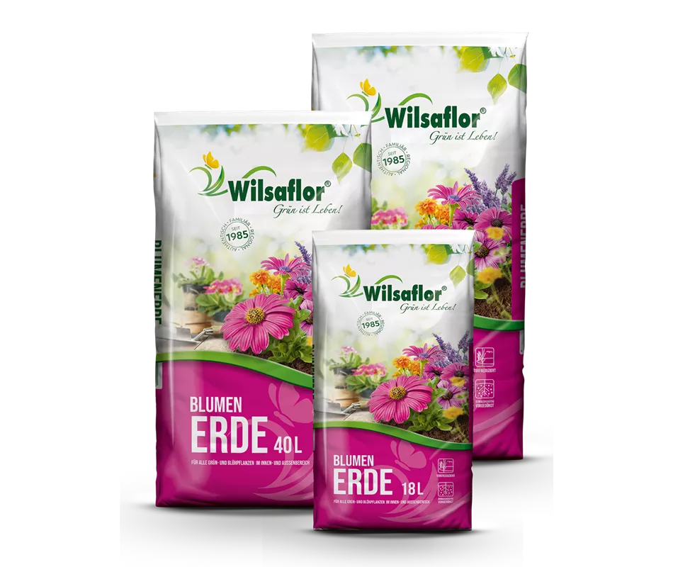 Wilsaflor® Blumenerde