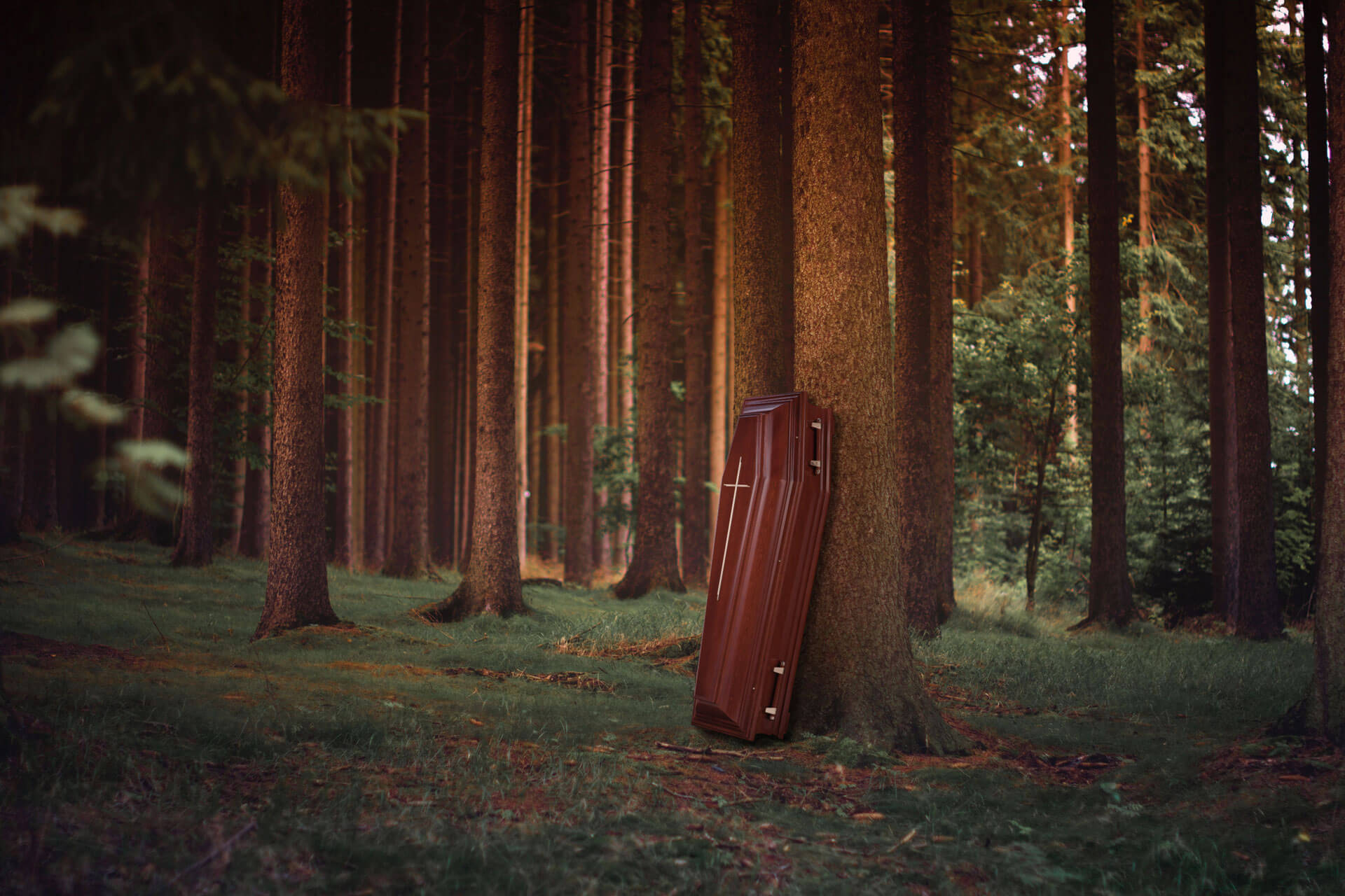 Wooden Coffin – Ecological Line
