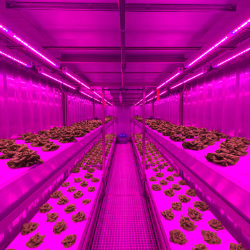 Control systems for vertical farming