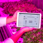 Priva Indoor Growing