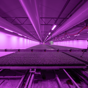 Measuring box in propagation (Indoor Farming)