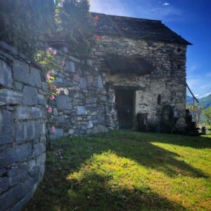 Rustico auf dem Weingut