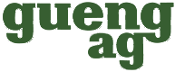 Gueng Logo
