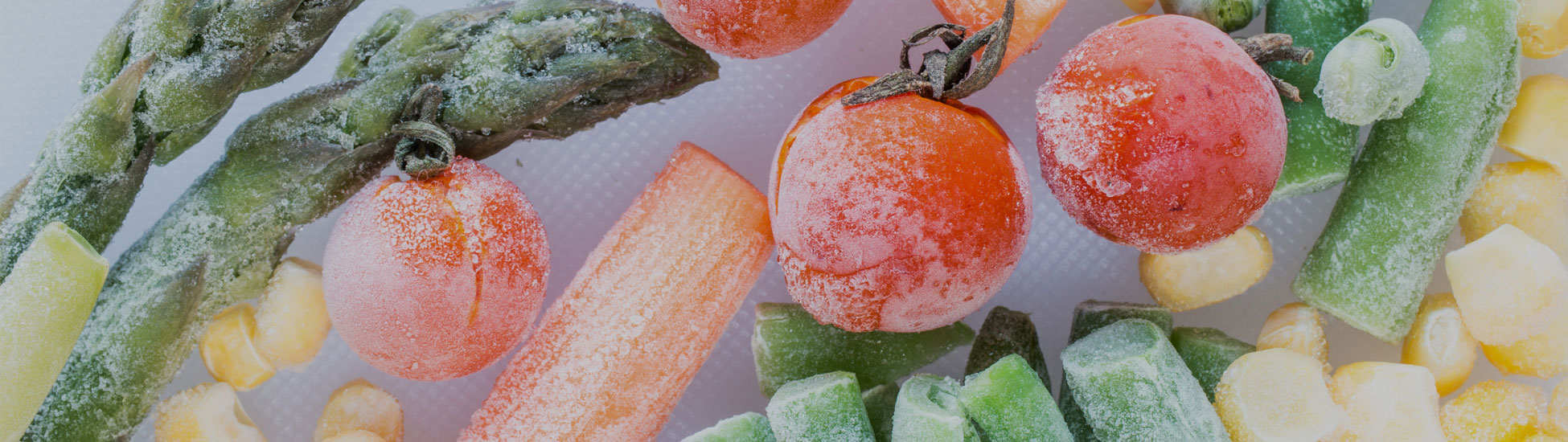 Frische – Trockeneis zum Kühlen von Lebensmitteln