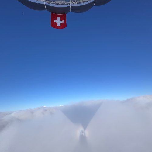Volo Prestige