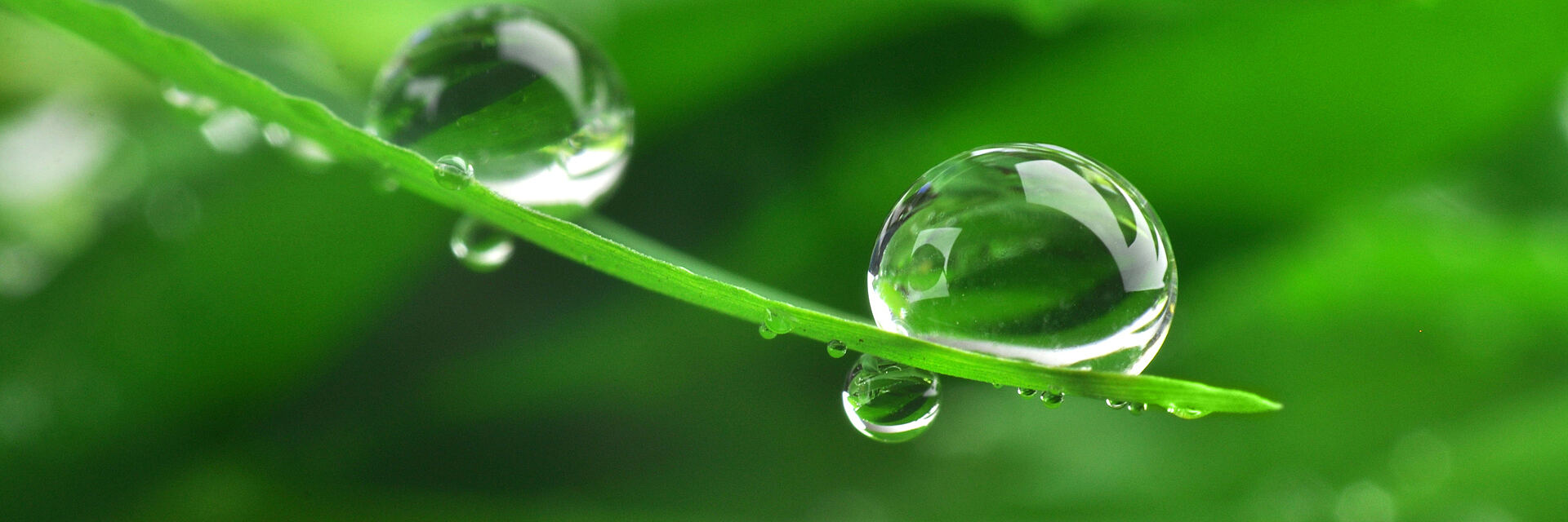 We think Green – Nachhaltigkeitsstrategie