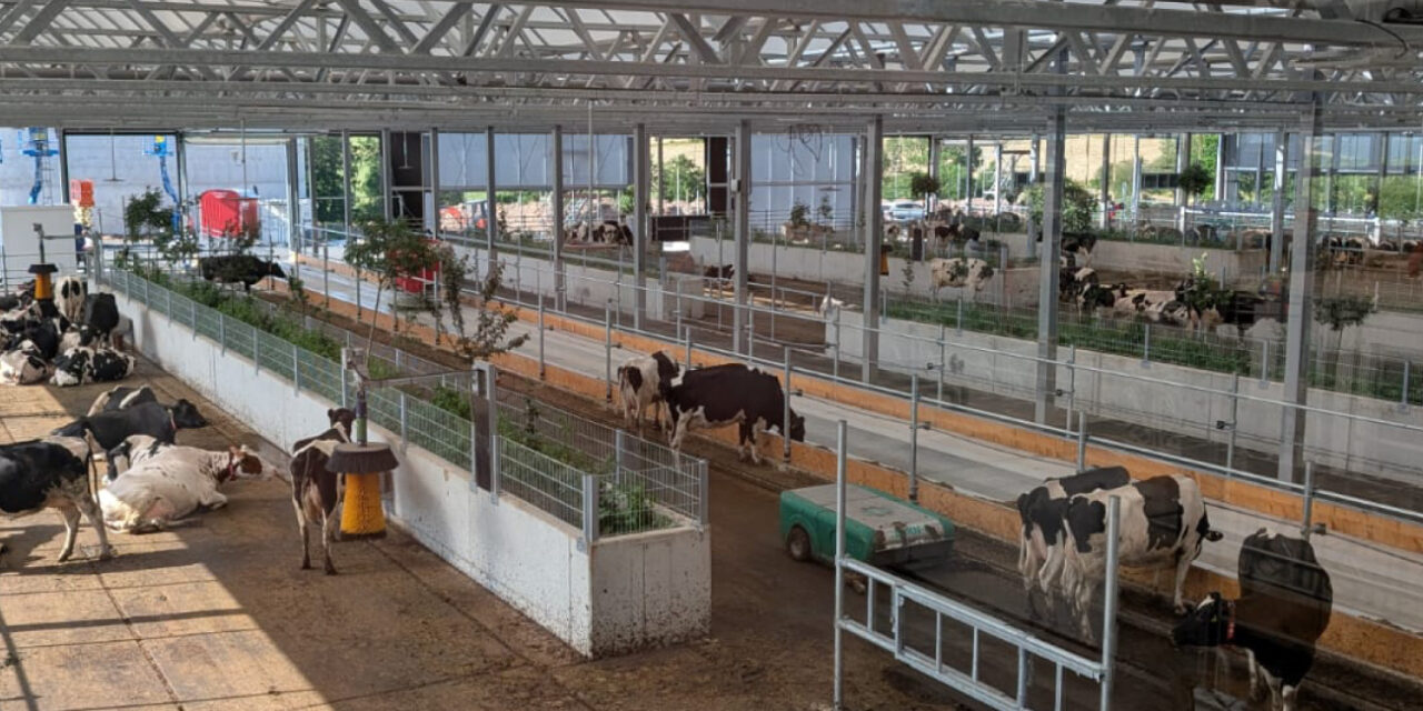 Partnerschaft Milch aus dem Kuhgarten
