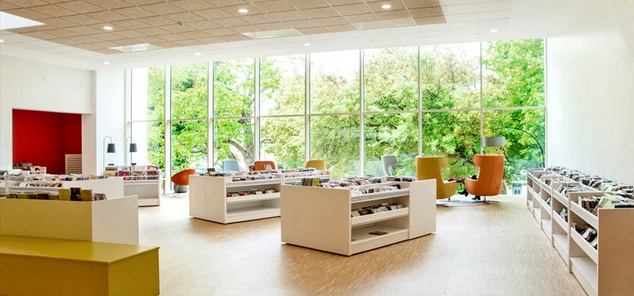 Biophiles Bibliotheksdesign mit Naturmaterialien