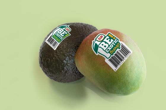 Mango und Avocado
