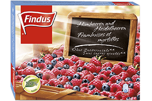 Himbeeren und Heidelbeeren ungezuckert