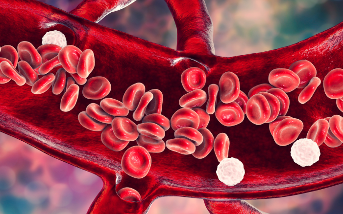 HBOT Science: Lösungen für Gesundheit und Vitalität