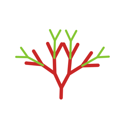 Bioligand-Dendrit