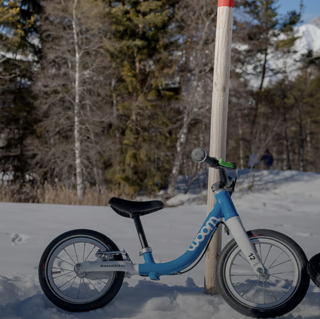 Woom – Naloo – Mondraker