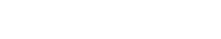 Kluge & Neumann Logo