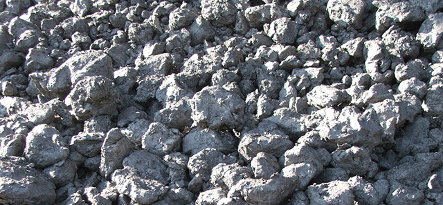 Kärlicher Blauton