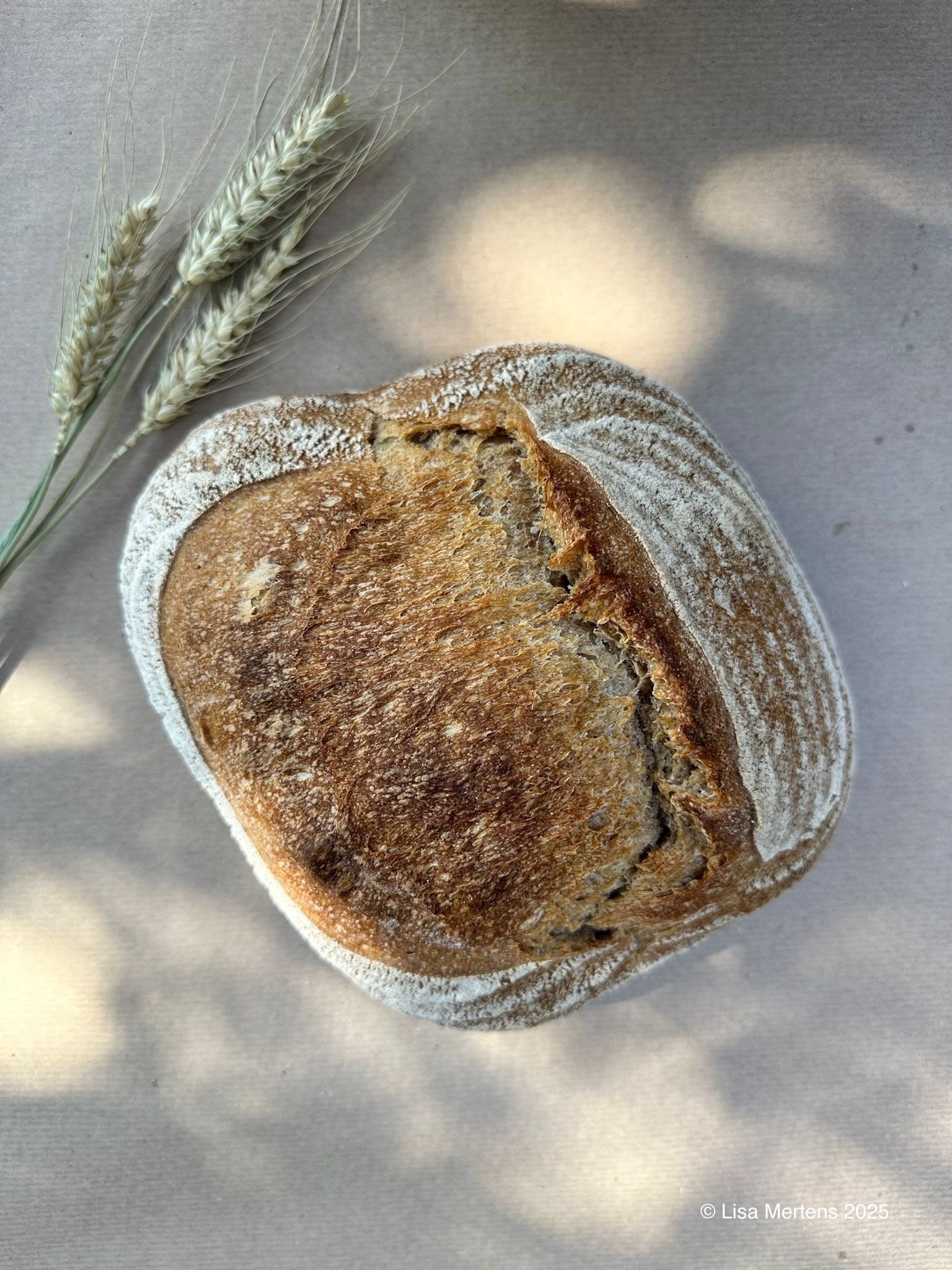 Bio Hausbrot