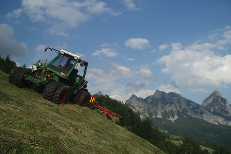 Frontscheibenmähwerk BERGPROFI 266