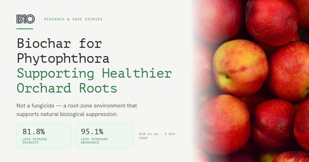 Biochar zur Unterstützung gesunder Wurzelwerke bei Phytophthora