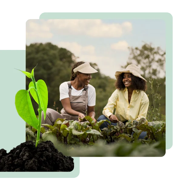 B10 – Biochar- und Carbon-Credit-Angebot