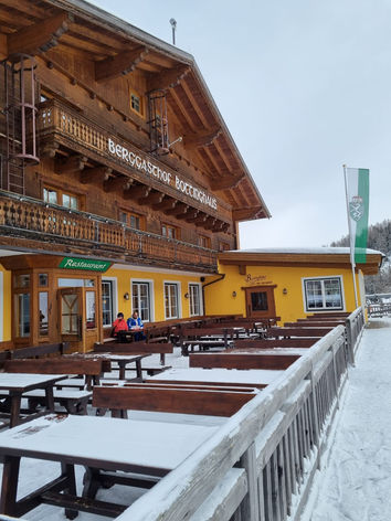 Alpen-Minnis
