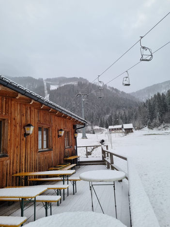 Alpen-Buchtel