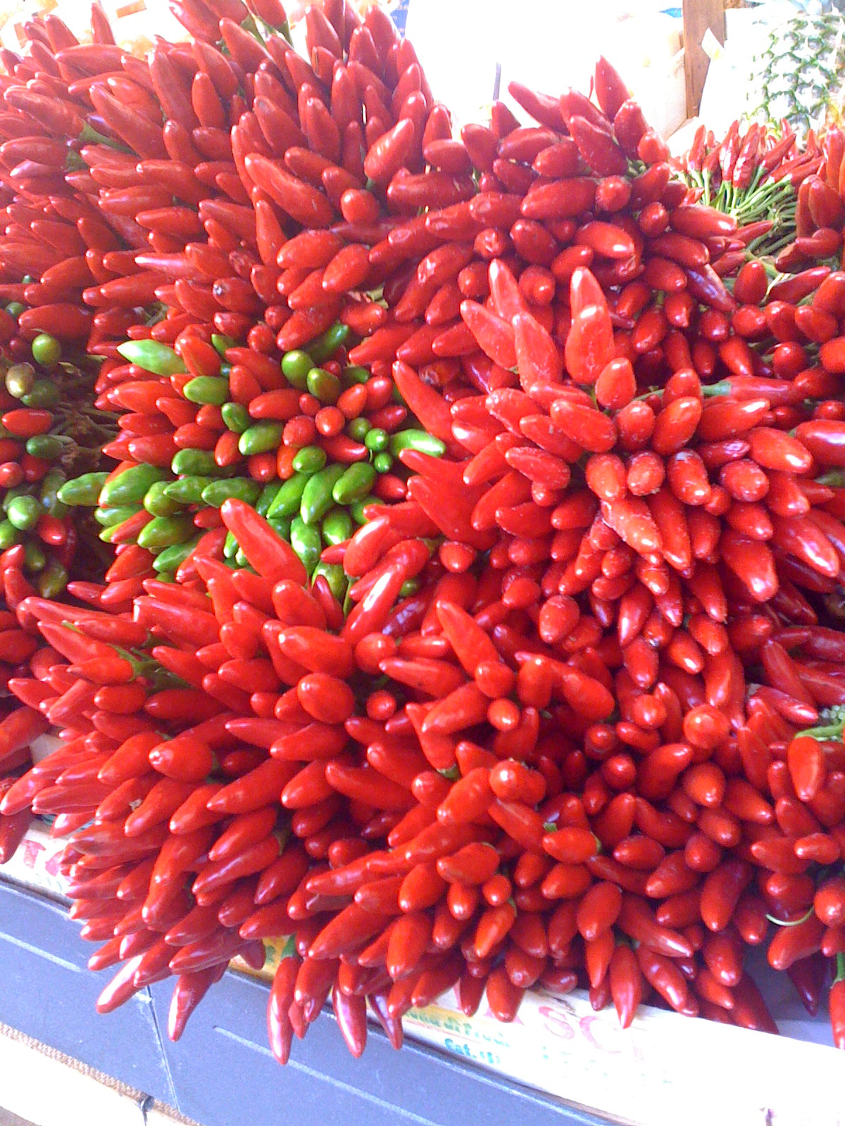 Chilisauce / Grillsaucen