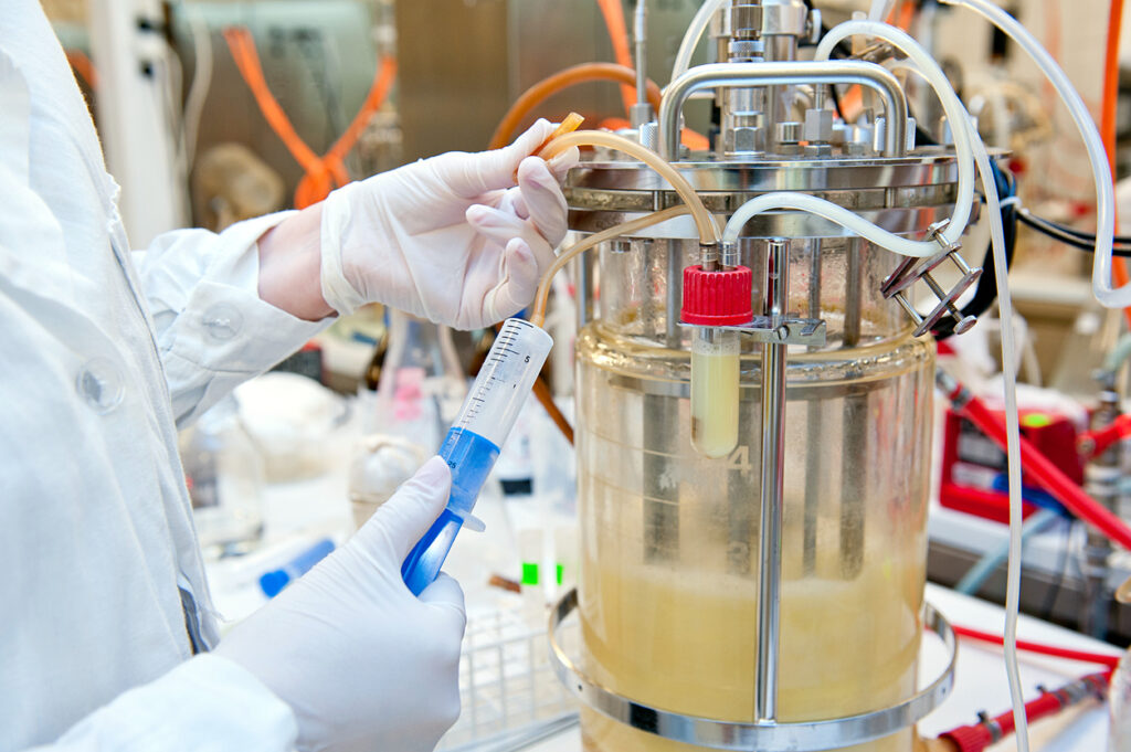 Fermenter im Forschungs- und Entwicklungsprozess