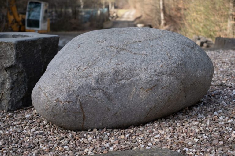 Porphyry erratic boulder