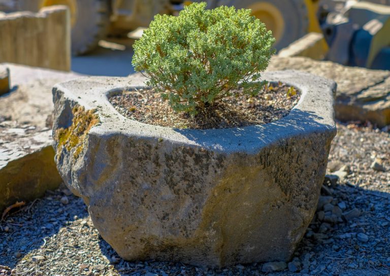 Planter (basalt lava, 300 kg)