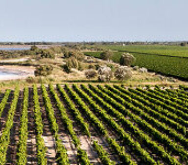 Standort Domaine Royal de Jarras